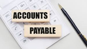 Accounts Payable Training with Placement